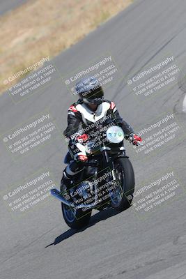 media/Nov-12-2023-Classic Track Days (Sun) [[11f17acb81]]/Group 3/session 2 turn 9/
